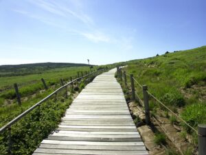 当帰芍薬散を使った生理痛の緩和方法は？