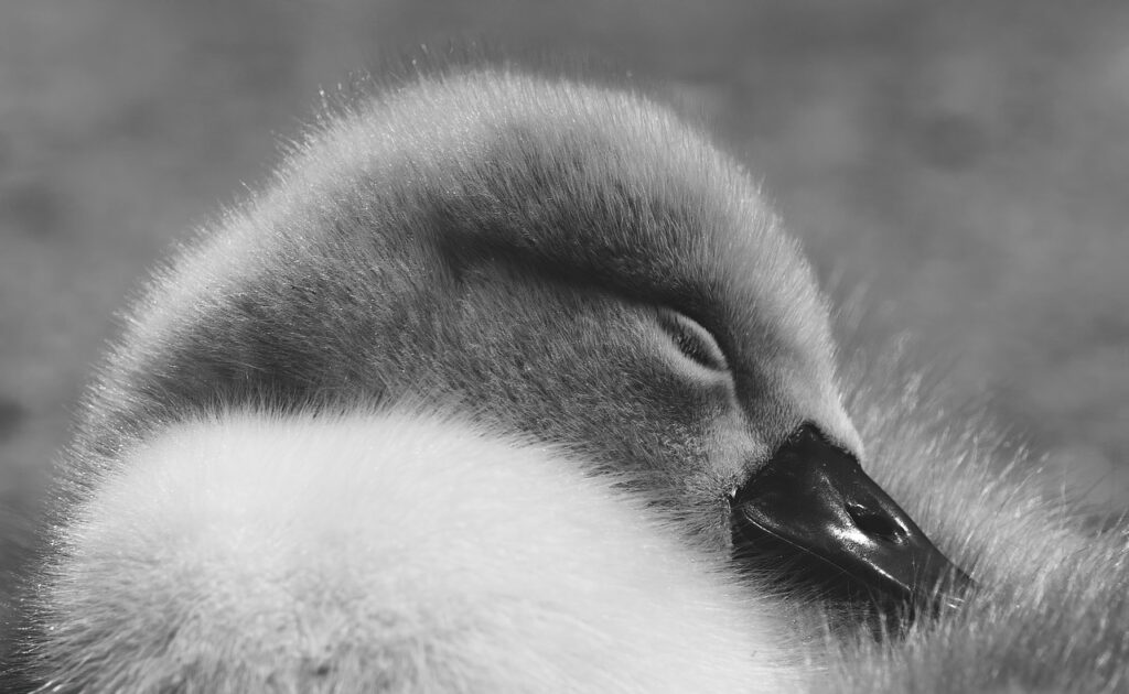 睡眠の不安を生理前に相談できる女医はどこにいる？
