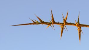 生理痛を和らげるための効果的なストレッチとは？