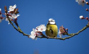 血栓症とピルの関係はどのようなものですか？