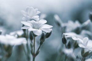 デリケートゾーンの悩みを女医に相談する方法は？