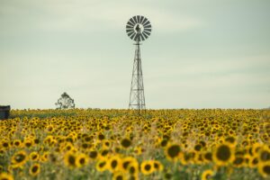 誰にも言えない悩みを解決するためのサポートは？