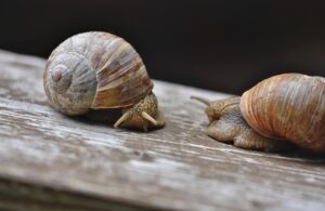 生理をずらす方法について女医に聞いてみたら？