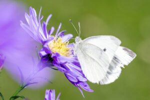 婦人科クリニックの選び方を確認するには？
